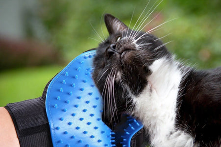 Manoplas De Aseo Para Mascotas Cepillo Removedor De Pelo De Perro Gato Manopla Masaje Desprendimiento 1 Par Azul