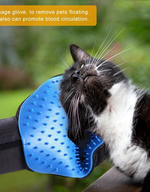 Load image into Gallery viewer, Manoplas De Aseo Para Mascotas Cepillo Removedor De Pelo De Perro Gato Manopla Masaje Desprendimiento 1 Par Azul
